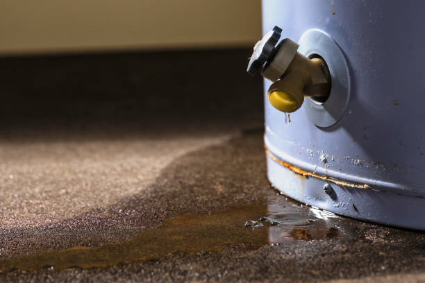 Best Local water damage restoration  in Highland, KS