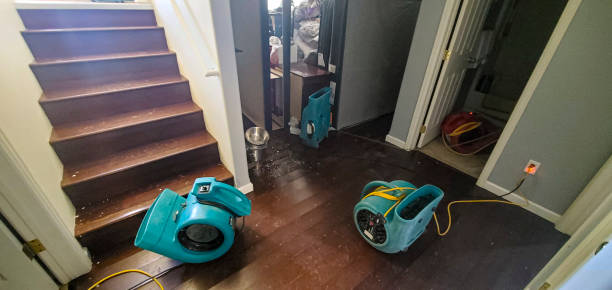 Best Commercial water damage restoration  in Highland, KS