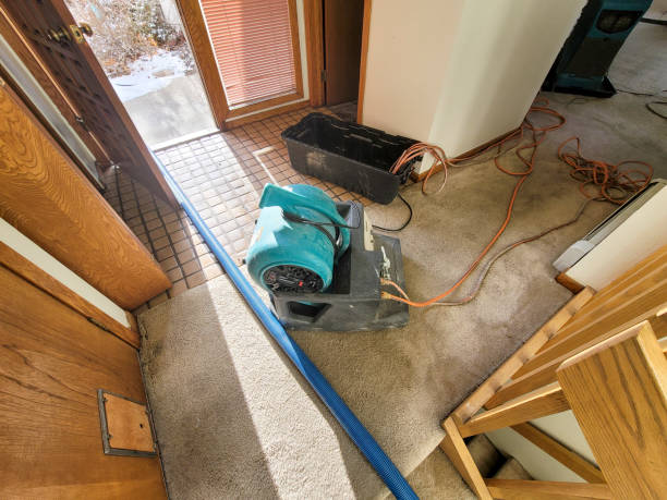 Best Residential water damage restoration  in Highland, KS