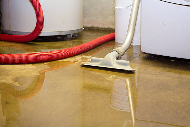 Best Water damage restoration experts  in Highland, KS
