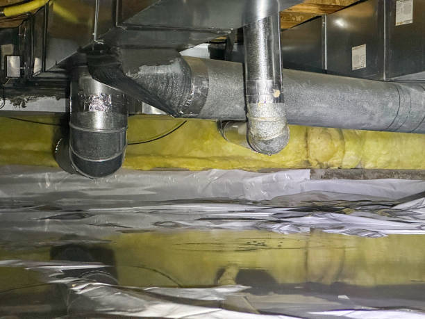 Best Basement water damage restoration  in Highland, KS